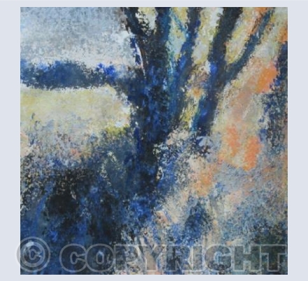 Blue Shadows, Frost Fronds, Evening Light.