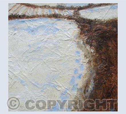 Field Edge Walk in the Snow