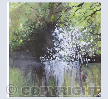 Blackthorn Froth, Reflections