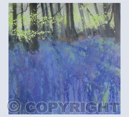 Late Evening Sun, Magenta, Deep Blue