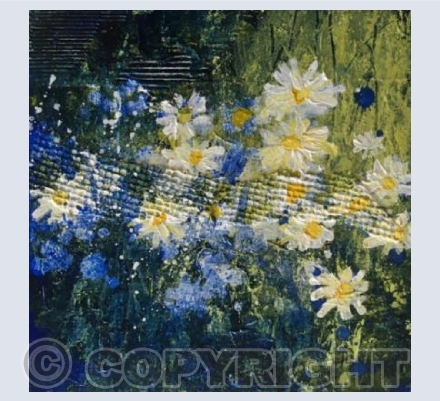 Wild Meadow, Bright Daisies