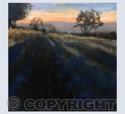 Out on a Walk in the Last  Rays of the Sun