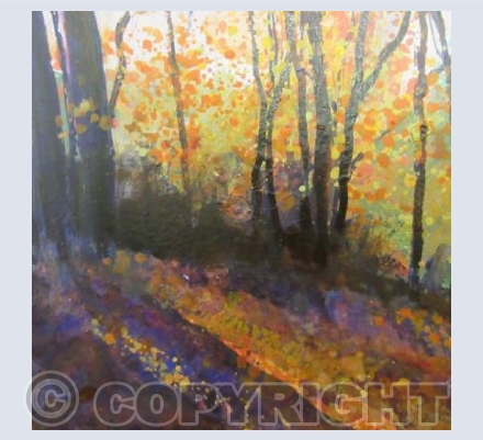 Afternoon Sun, Orange Blaze