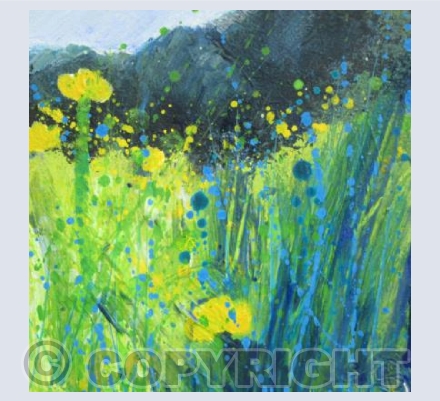 Bright Yellow in the Meadow.