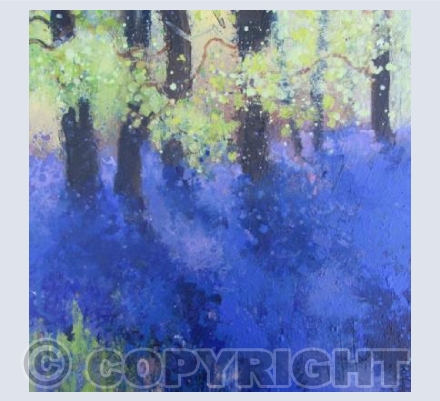 Beautiful Beech Leaves by a Bluebell Path