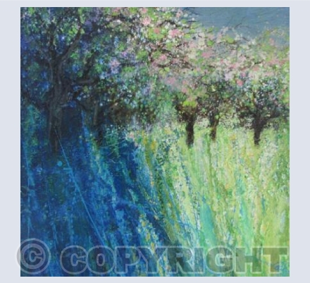 Bright Pink Blossom, Wild Orchard, Bird Song