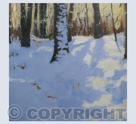 Pale Gold and Lilac Shadows, Snow