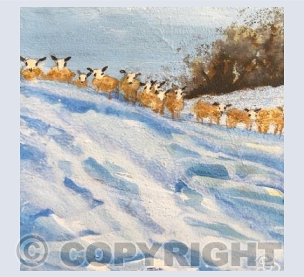 New Hay Would Be Nice