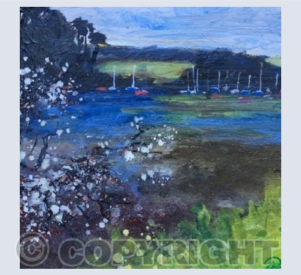 Blackthorn Froth, St Just in Roseland