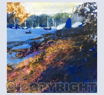 Blackthorn in Bloom, St Mawes