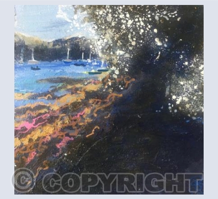 Blackthorn froth, Low Tide, St Mawes