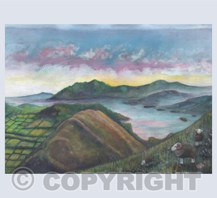 Herdwick Sheep at Derwentwater