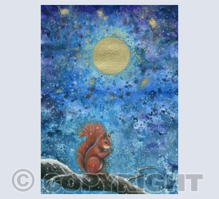 Red Squirrel's winter