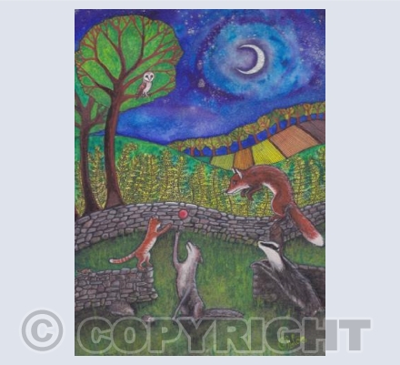 In the woods tonight