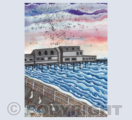 Aber murmurations, Aberystwyth