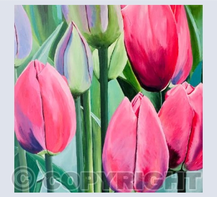 Tulips