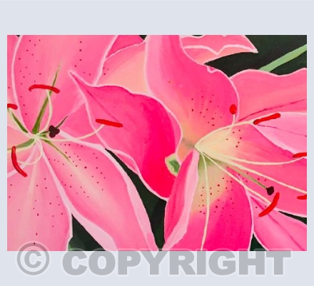 Lillies