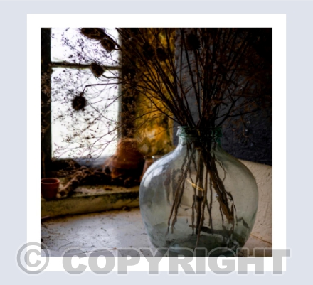 The Potting Shed