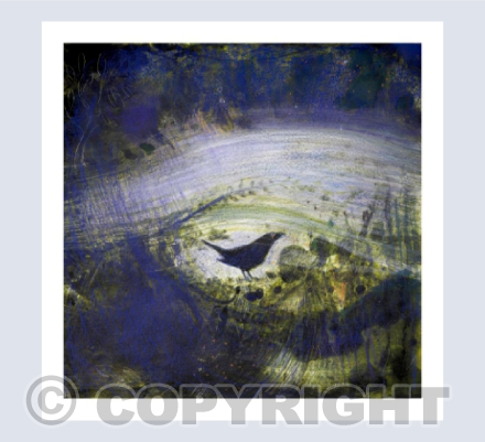 Evening's Star Glimmers