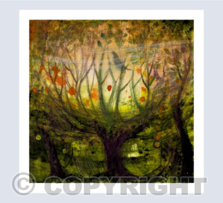 A Mistle Thrush Sings