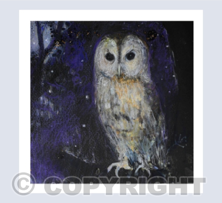 TAWNY OWL, LISTENING