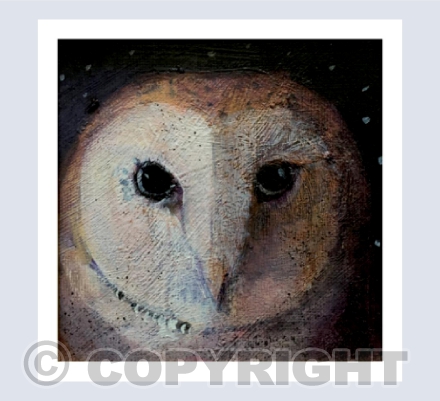 OWLS NOT FLOWERS