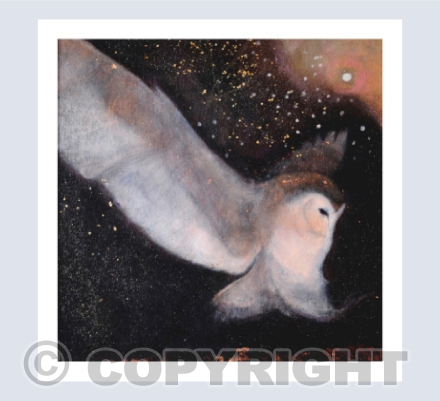 THE SOFT NIGHT DESCENDING