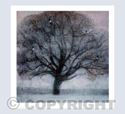 MAGPIE, FOUR FOR A BOY