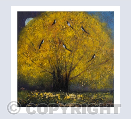 MAGPIE SONG, SIX FOR GOLD
