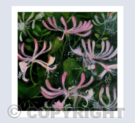 HONEYSUCKLE MAGIC