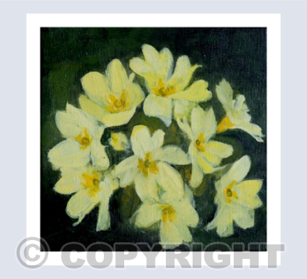 PRIMROSE, THE PROMISE OF SPRING