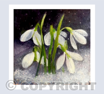 SNOW DROPS, THE DEPTH OF WINTER
