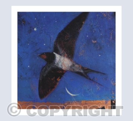 THE SWALLOW OF SUMMER
