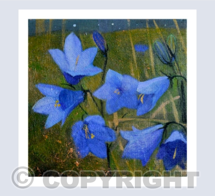 HARE BELLS