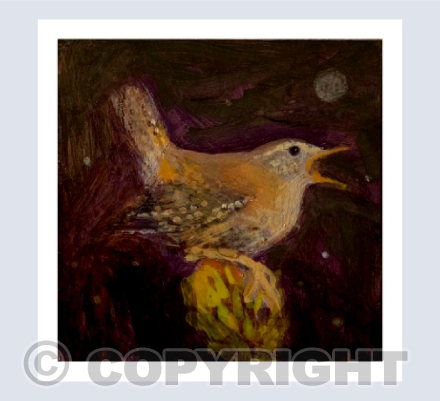 JENNY WREN