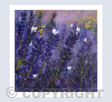THE SCENT OF LAVENDER