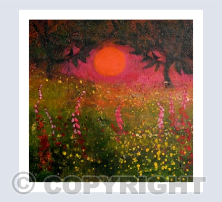 THE MIDSUMMER SUN