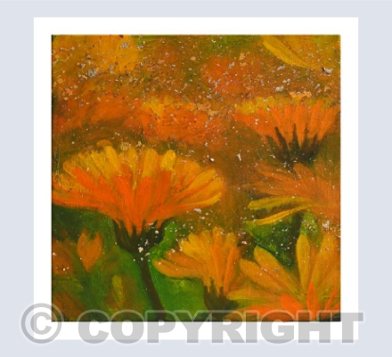 MARIGOLDS