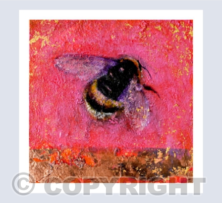 BUFF TAILED BEE