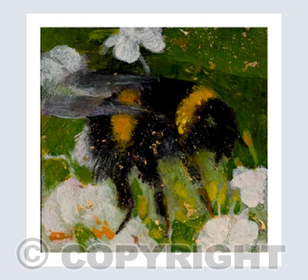 WHERE THE BEE DANCES