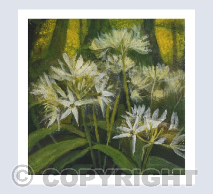WILD GARLIC