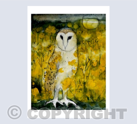 THE BUTTERCUP SUMMER