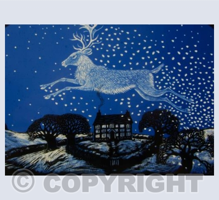 Reindeer Winter