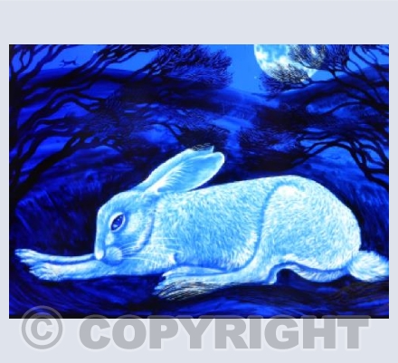 Creggan White Hare (blue)