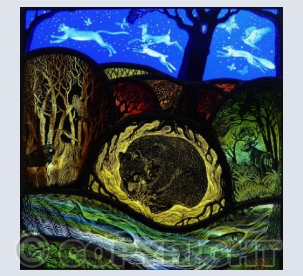 Wilderness Dreaming