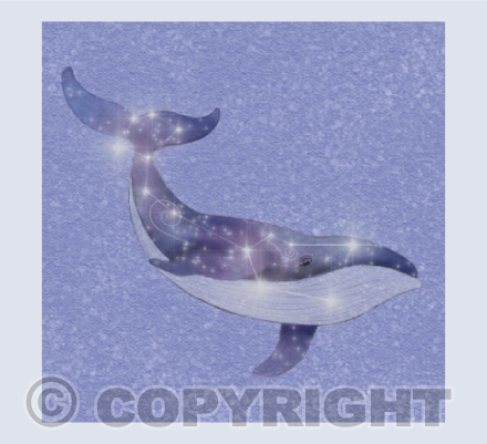 Cetus - The Whale