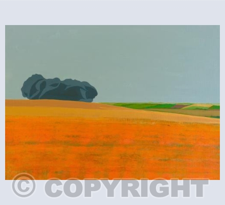 Hackpen Ploughed Field