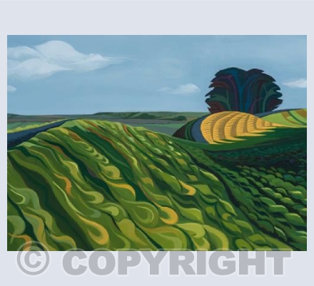 Barbury Castle 