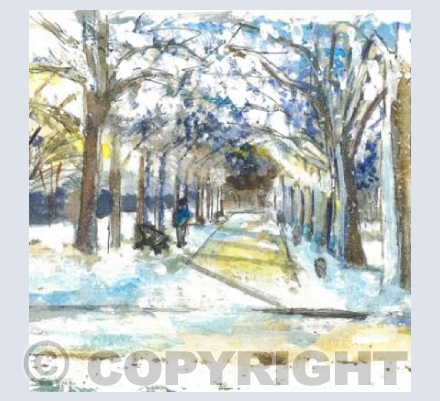 Snowy Avenue
