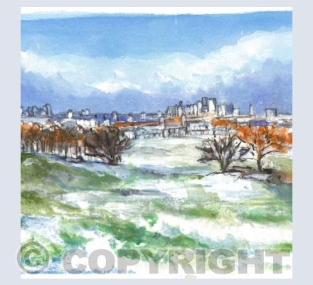Snow View